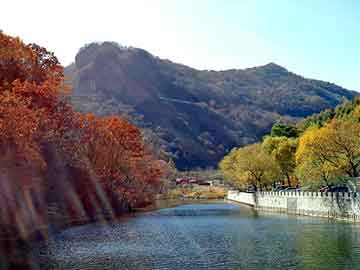 管家婆黑白马报图库，邵阳seo排名